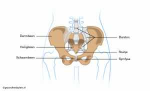 bekken fysiotherapie zwolle